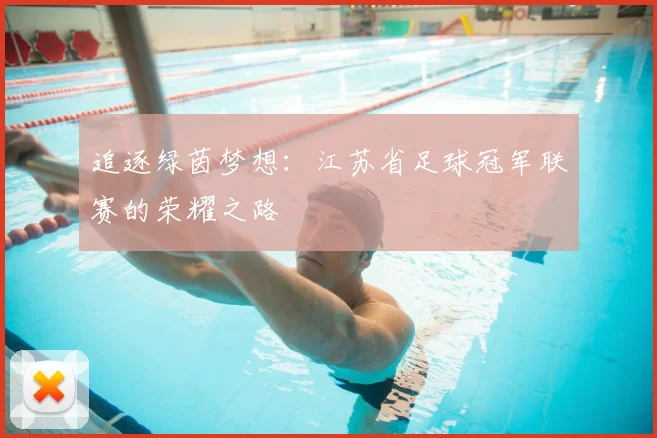 追逐绿茵梦想：江苏省足球冠军联赛的荣耀之路
