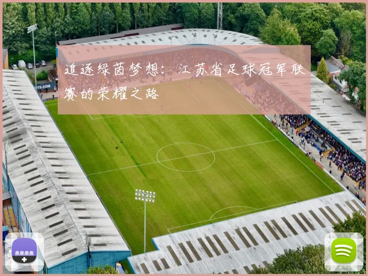 追逐绿茵梦想:江苏省足球冠军联赛的荣耀之路
